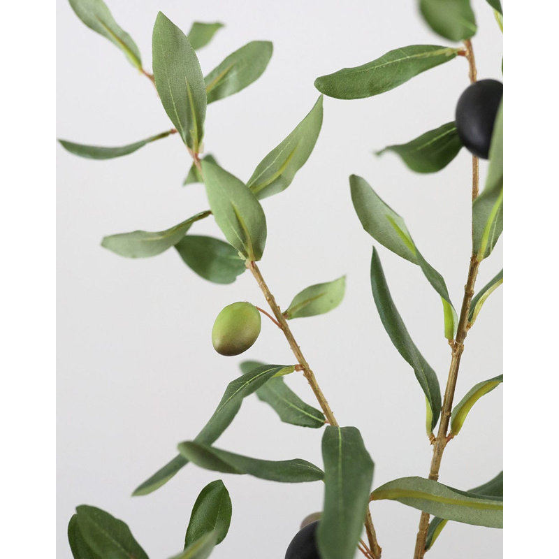 Large Olive Branch 46"