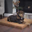 Grand lit orthopédique pour chien PETMAker - lit pour animal de compagnie 44 x 35, argile-10158800-10158799