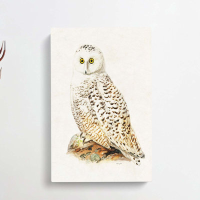 Snowy Owl - Wrapped Canvas