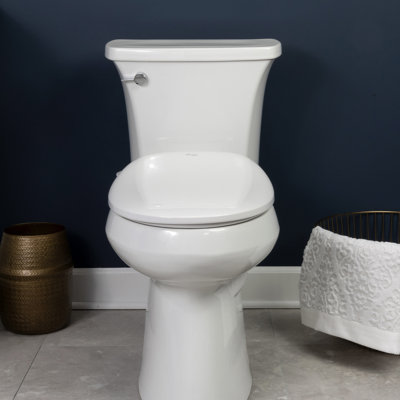 BB500 Elongated Bidet Toilet Seat, Electric, Heated Seat with Water Pressure Control + 2 Towels