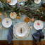 Fine Stoneware Dinner Plate