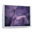 White Floater Framed