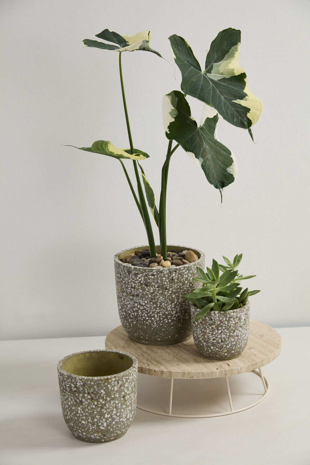 Verde Pot 7"x 6.5"
