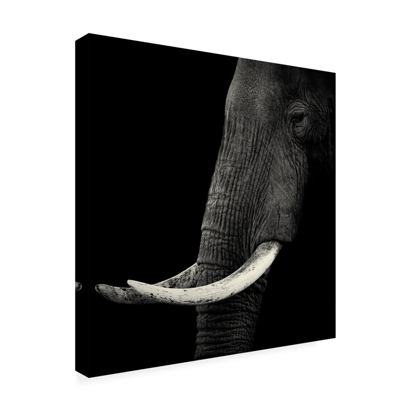 Éléphant sur toile, art audacieux, L 24 po x H 24 po