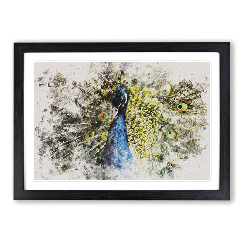 Peacock Vol.2 - Picture Frame Graphic Art, Black Framed, 36cm H x 48cm W x 2cm D