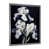 Silver Single Picture Framed