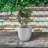 Karola Pot Planter-1267224133-1210281156