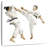 Sireci Karate-109210007