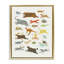 Art mural encadré, "Wild Animals Alphabet" par Irene Chan-189916534-194365536