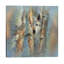Focused - White Wolf by Collin Bogle - Print on Canvas-605297505-634827612