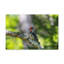 No Frame Print on Canvas-71466636