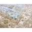 Wool Oriental Area Rug in Ivory