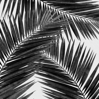 Orara Studio feuille de palmier noir et blanc III