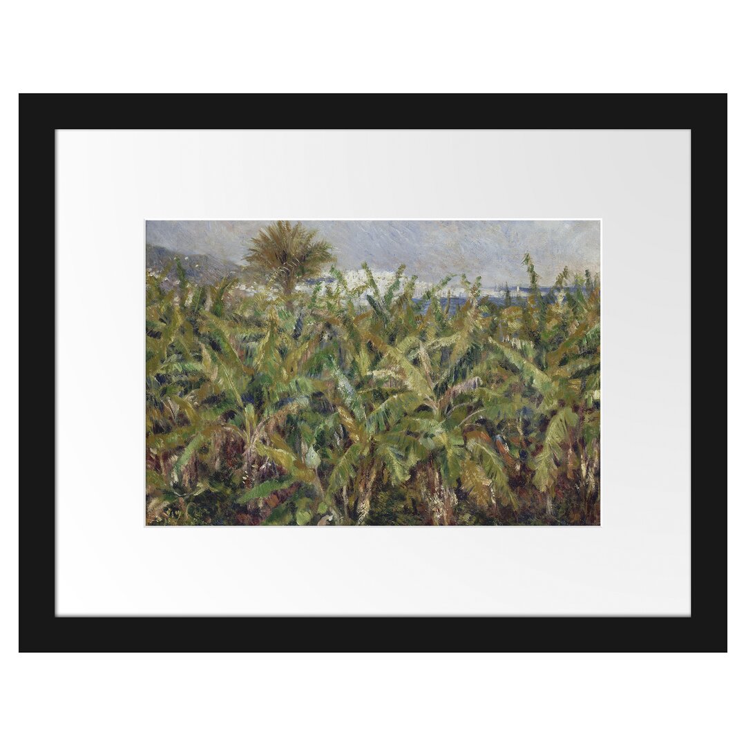 Gerahmtes Poster Field with Banana Trees von Pierr