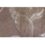 Himalayan Floral Area Rug in Gray