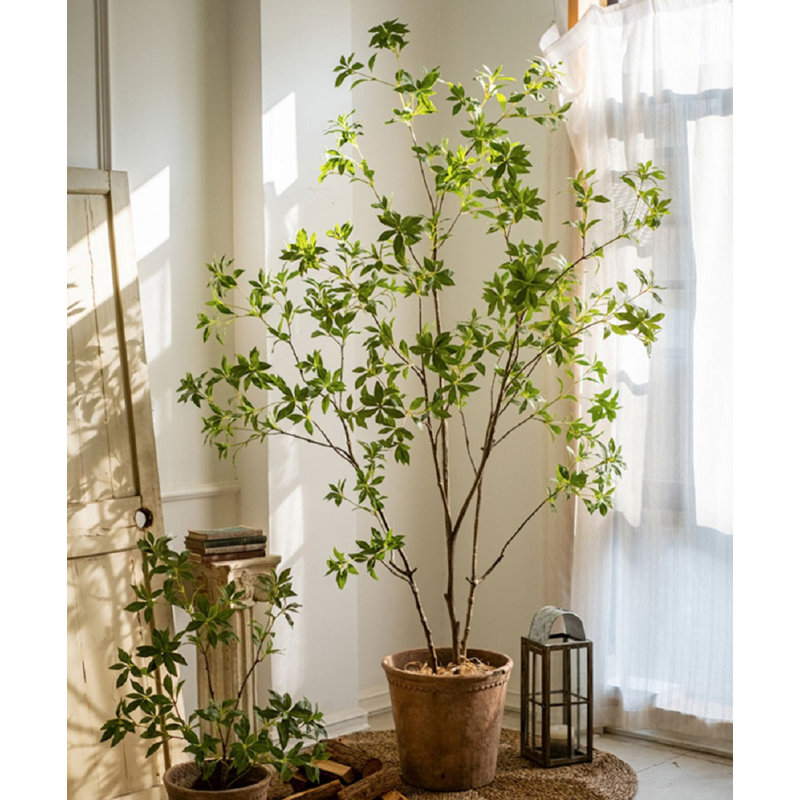 Gant Faux Tree, 68" H x 43.3" W x 8" D