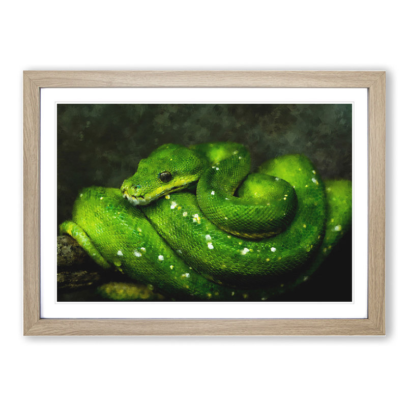 Green Python Snake - Framed Print, 48cm H x 65cm W x 2cm D, Oak Framed