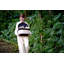 Panorama Zipper-free Small Pet Travel Carrier