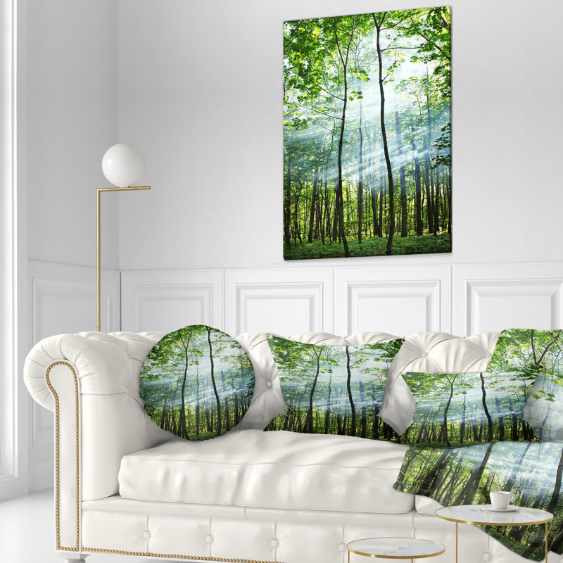 Coussin Schafer