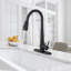 Robinet d'évier de cuisine à poignée simple rétractable avec accessoires-70362041