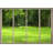 Park Filled With Trees On A Field-88412595
