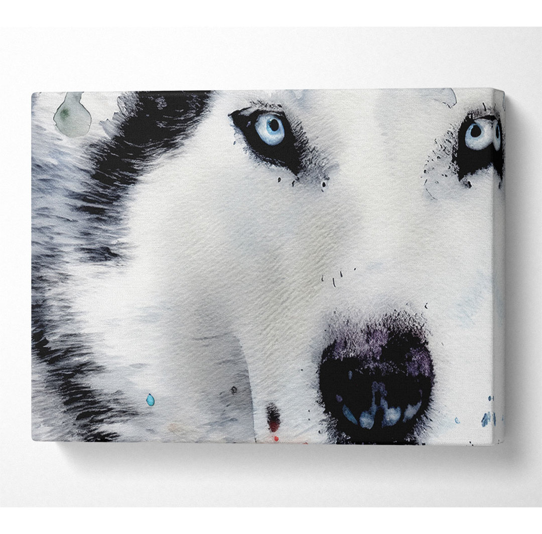 Siberian Husky Eyes - Kunstdrucke auf Leinwand