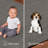 Estralita Indoor / Outdoor Rug-559564063