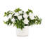 Lucienne Realtouch Rosebush Arrangement