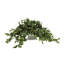 Ricka Faux Ivy Plant in Glass Pot