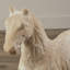 Figurine de cheval