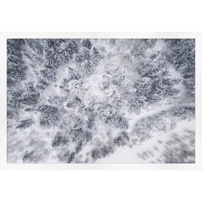 Winter From Above 2 Print by Thom Filicia