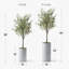 Arbre artificiel dans un pot de fleurs moderne, décoration d'arbre en soie d'olivier artificiel (pot et arbre)-407143821-424482373
