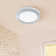 Mccluney Plastic LED Flush Mount