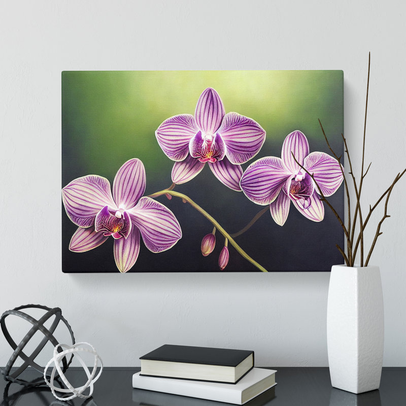Supreme Orchid Flowers - Wrapped Canvas, 50cm H x 76cm W x 3cm D