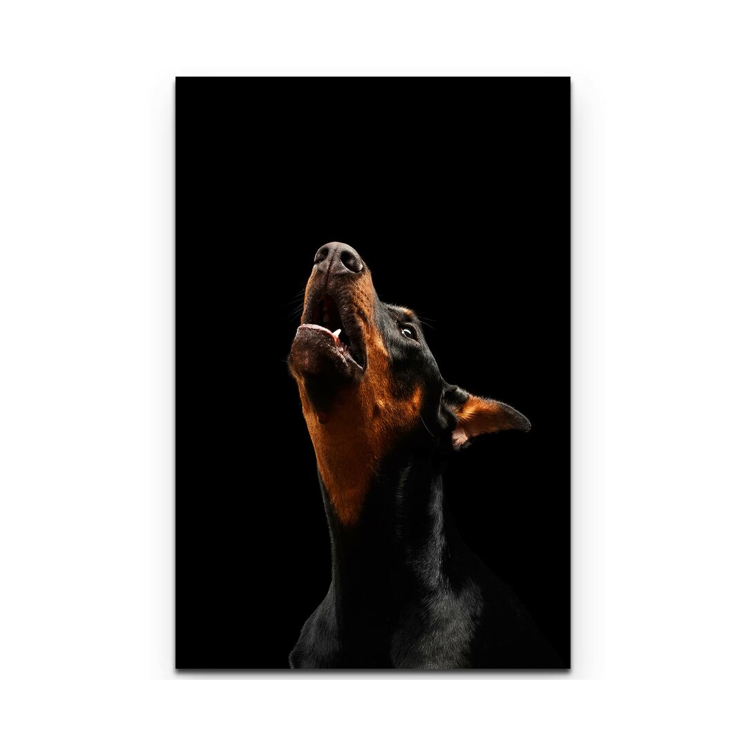 Leinwandbild Doberman Pinscher - Portrait