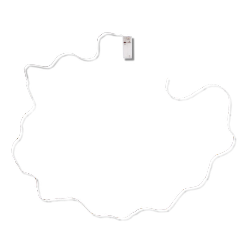 Bourget 20 - Bulb 98.5'' Battery Powered LED Rope String Light