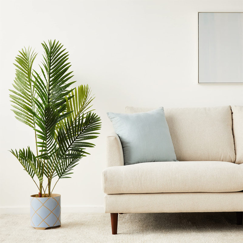 119.8cm Plant