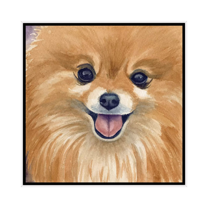 Paco par Teresa Kogut - reproduction d'art, H 18 po x l 18 po x 1,5 po, Toile blanche encadrée, Aucun mat