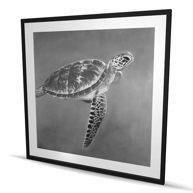 Grayscale Aquatic Turtle - White Framed Matted Print Decor