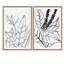 Dessin de feuilles et de fleurs, croquis de formes abstraites, illustrations contemporaines-101752736