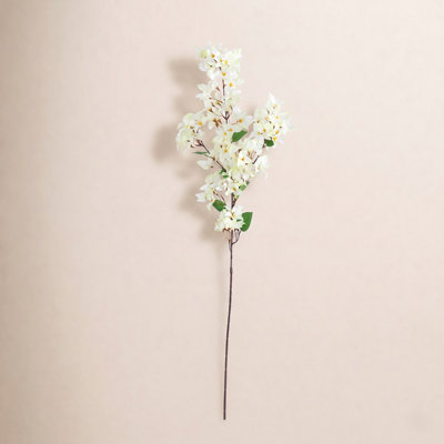 Bougainvillea Floral Stems