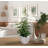 16.5'' Faux Foliage Plant in Ceramic Freestanding