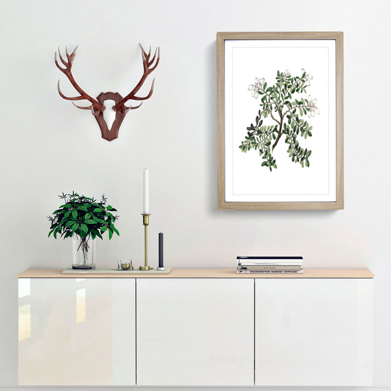 Bearberry Flowers Illustration - Single Picture Frame Painting, 33cm H x 24cm W x 2cm D, Oak Framed