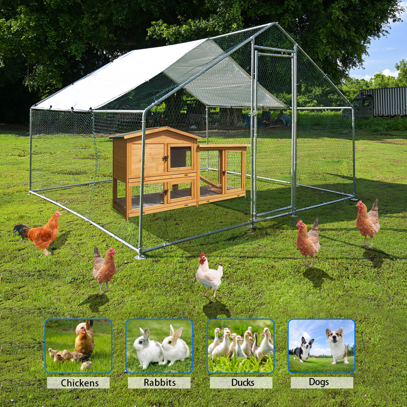 Parc à poules Dannish, H 78,74 po x l 118,11 po x P 118,11 po