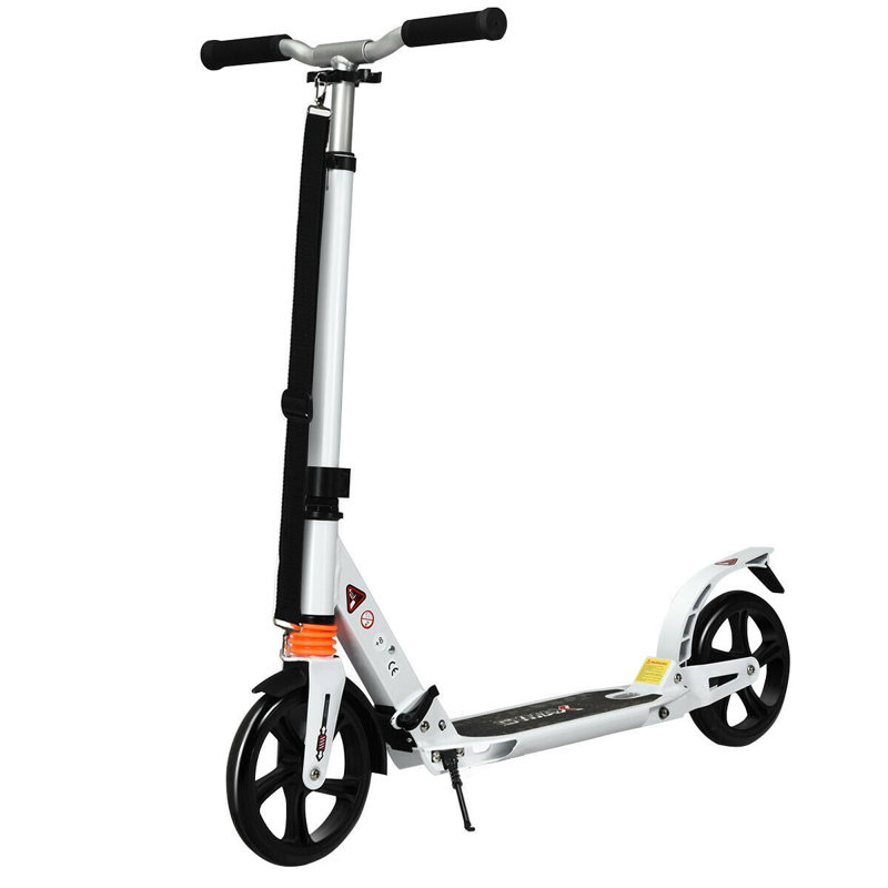 Boyette Freeport Park Scooter