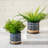 Balmer Ceramic Saucer Planter with Ribbed Texture-2120804517-2031590491
