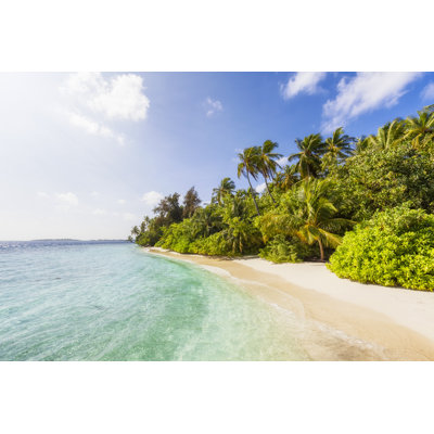 Wonderful Palm Beach by Cinoby