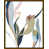 Image Brush Gel selected