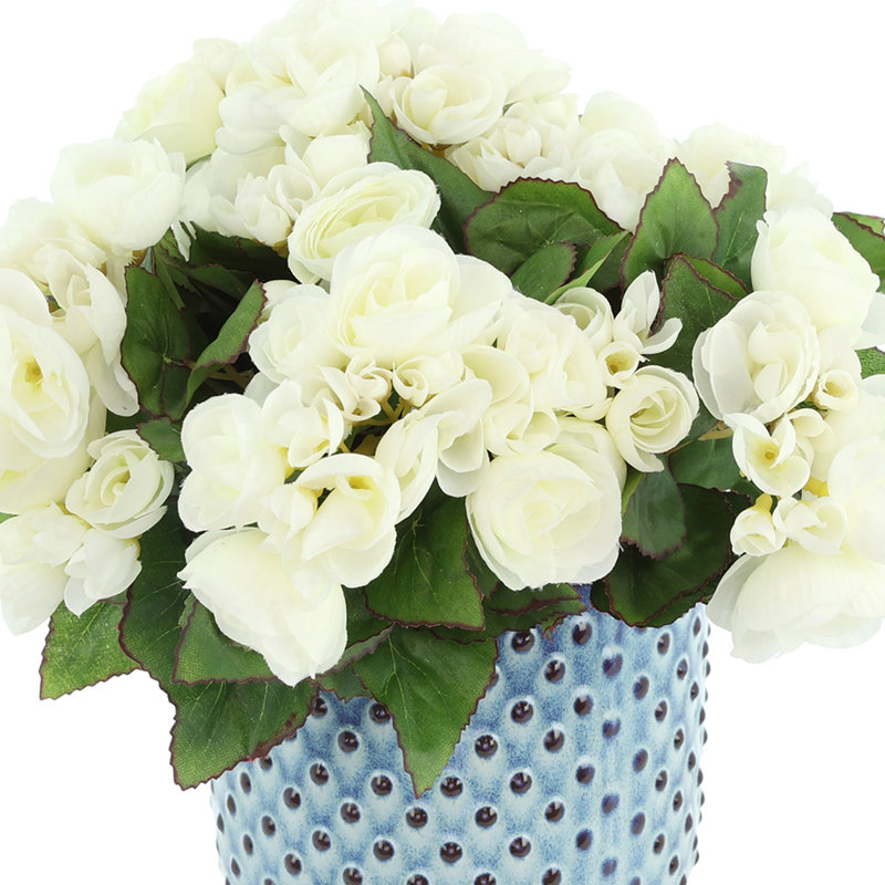 Begonias in Dotted Ceramic Pot, White