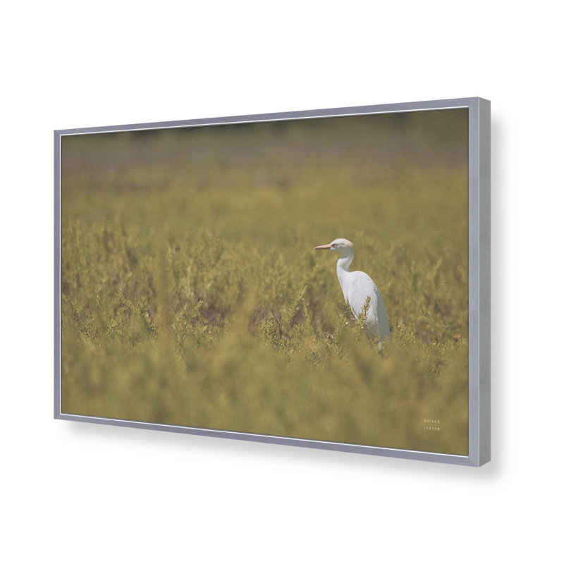 «Everglades National Park» par Nathan Larson, reproduction d'art, H 32 po x l 48 po, Argent